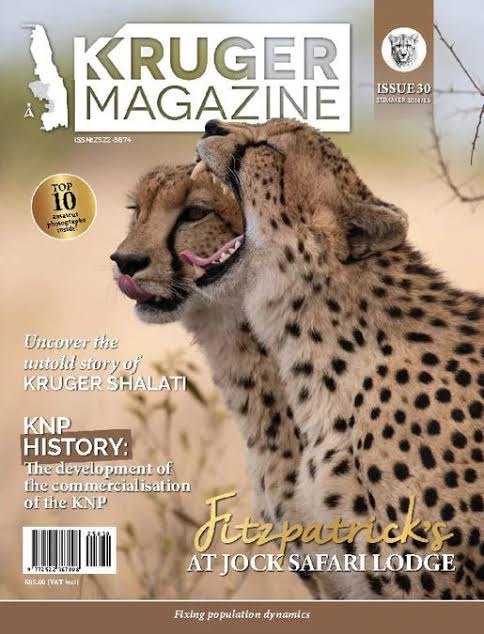 Magazine